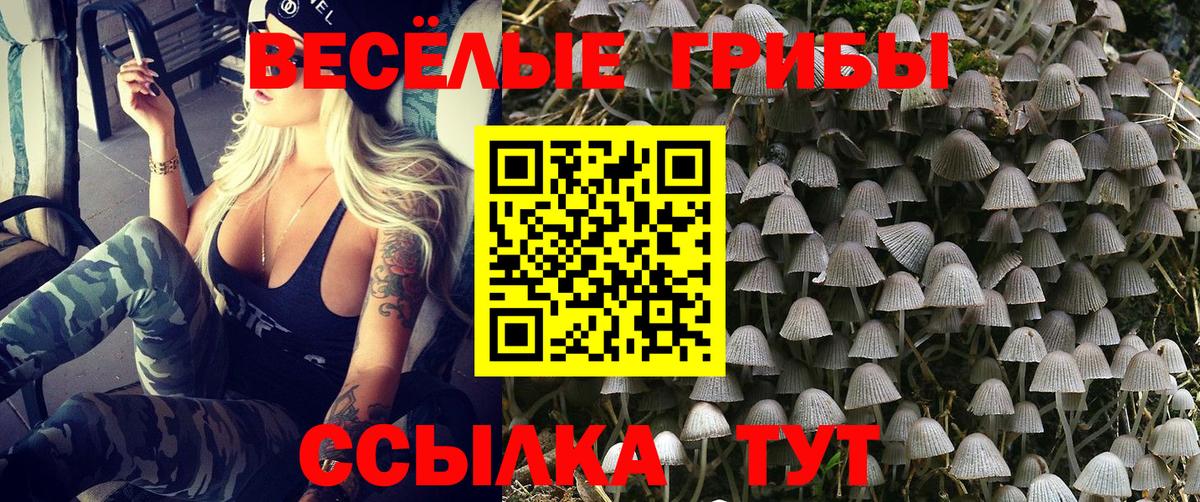 Алатырь  Псилоцибиновые грибы Cubensis  Вход с VPN  Галлюциногенные грибы Magic Shrooms 